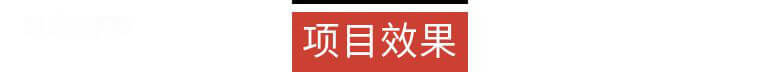 項目效果.png
