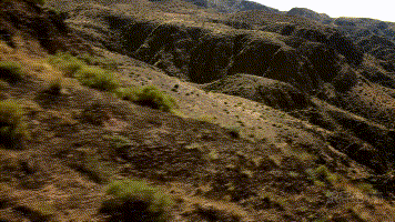 20191021 奔達摩托 (2).gif