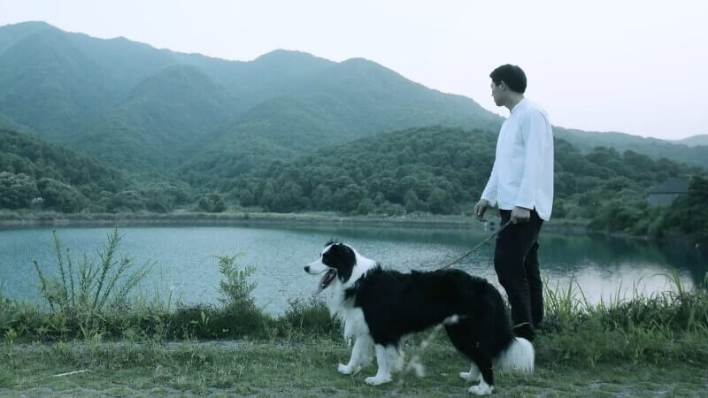 知了木作匠心創意廣告